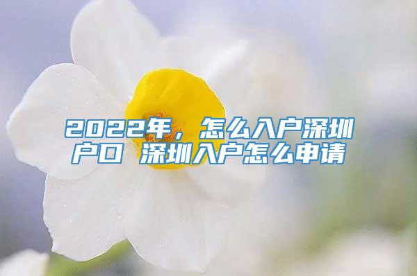 2022年，怎么入户深圳户口 深圳入户怎么申请