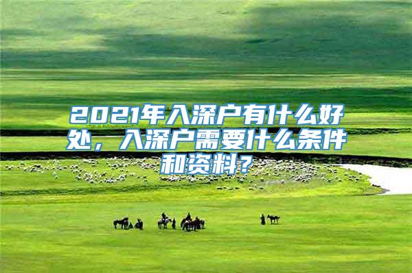 2021年入深户有什么好处，入深户需要什么条件和资料？