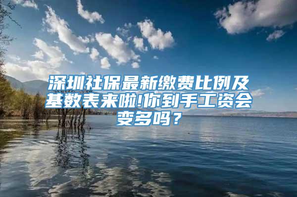 深圳社保最新缴费比例及基数表来啦!你到手工资会变多吗？