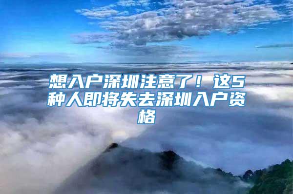 想入户深圳注意了！这5种人即将失去深圳入户资格