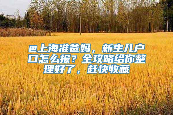 @上海准爸妈，新生儿户口怎么报？全攻略给你整理好了，赶快收藏