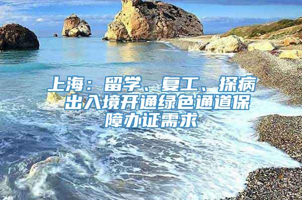 上海：留学、复工、探病 出入境开通绿色通道保障办证需求