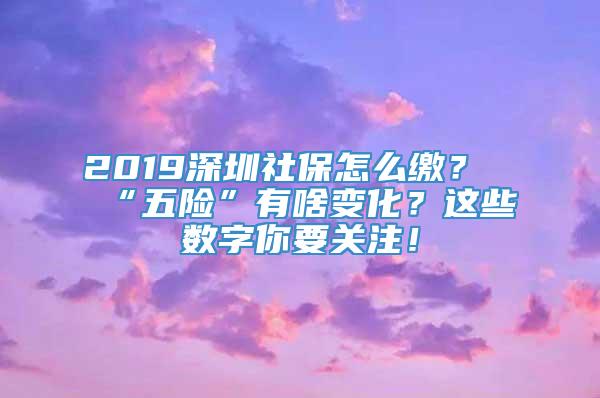 2019深圳社保怎么缴？“五险”有啥变化？这些数字你要关注！