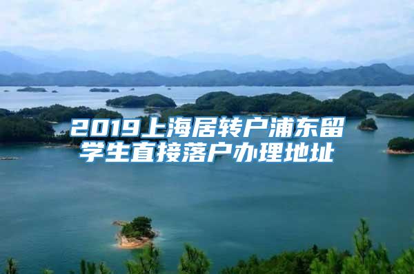 2019上海居转户浦东留学生直接落户办理地址