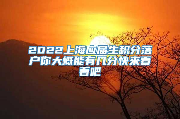 2022上海应届生积分落户你大概能有几分快来看看吧