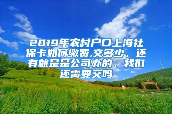 2019年农村户口上海社保卡如何缴费,交多少，还有就是是公司办的，我们还需要交吗