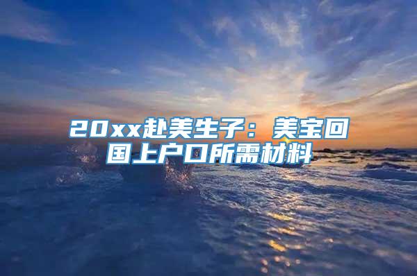 20xx赴美生子：美宝回国上户口所需材料