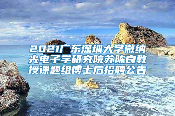 2021广东深圳大学微纳光电子学研究院苏陈良教授课题组博士后招聘公告