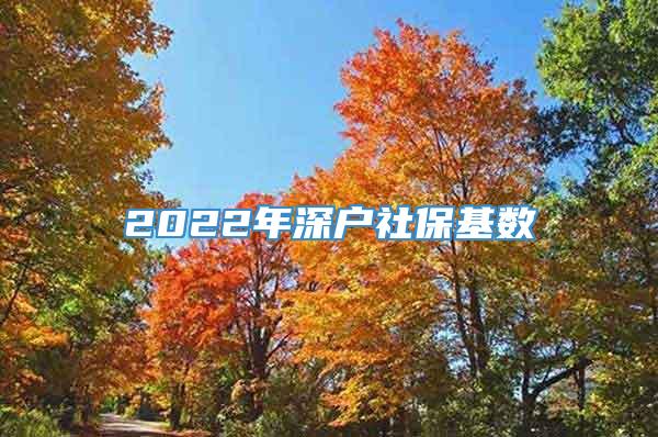 2022年深户社保基数