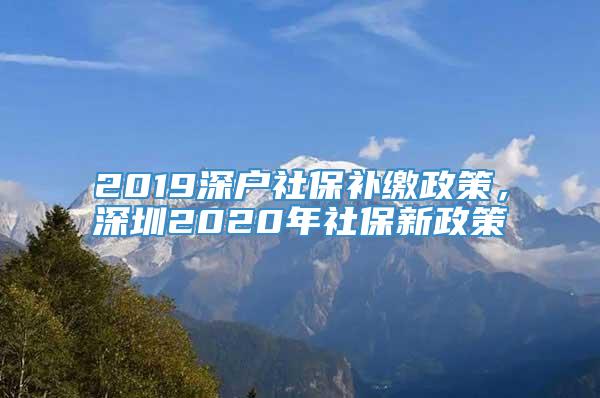 2019深户社保补缴政策，深圳2020年社保新政策