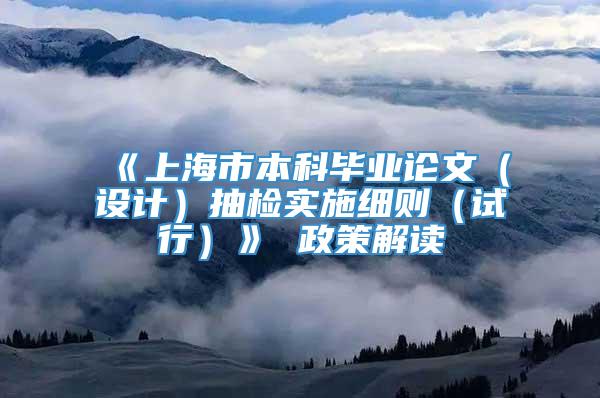 《上海市本科毕业论文（设计）抽检实施细则（试行）》 政策解读