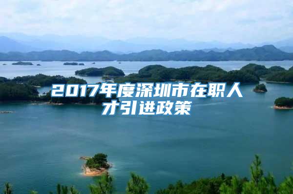 2017年度深圳市在职人才引进政策