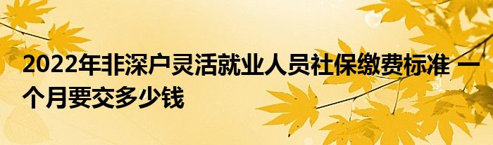 2022年非深户灵活就业人员社保缴费标准 一个月要交多少钱