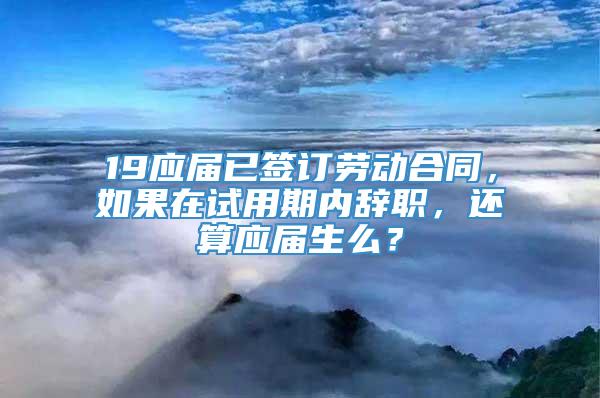 19应届已签订劳动合同，如果在试用期内辞职，还算应届生么？