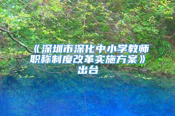 《深圳市深化中小学教师职称制度改革实施方案》出台