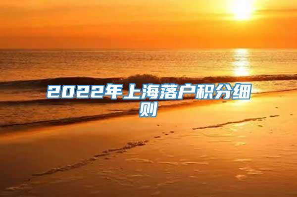 2022年上海落户积分细则