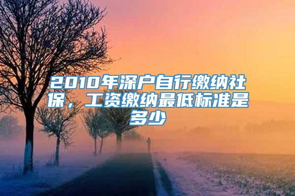 2010年深户自行缴纳社保，工资缴纳最低标准是多少