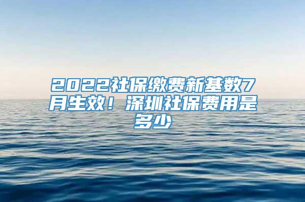 2022社保缴费新基数7月生效！深圳社保费用是多少