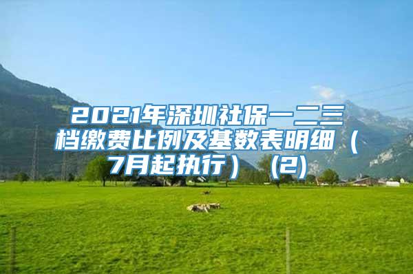 2021年深圳社保一二三档缴费比例及基数表明细（7月起执行） (2)