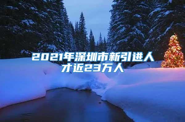 2021年深圳市新引进人才近23万人