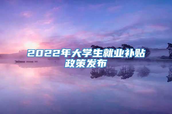 2022年大学生就业补贴政策发布