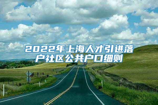 2022年上海人才引进落户社区公共户口细则