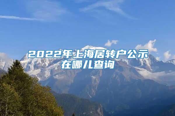 2022年上海居转户公示在哪儿查询