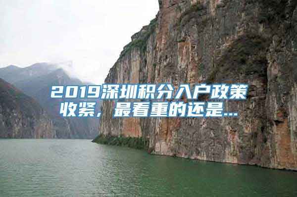 2019深圳积分入户政策收紧, 最看重的还是...