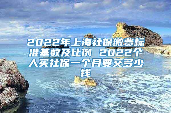 2022年上海社保缴费标准基数及比例 2022个人买社保一个月要交多少钱