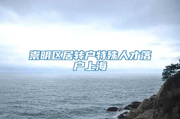 崇明区居转户特殊人才落户上海