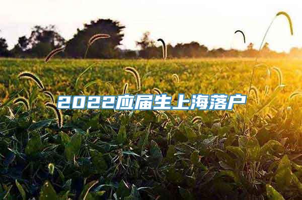 2022应届生上海落户