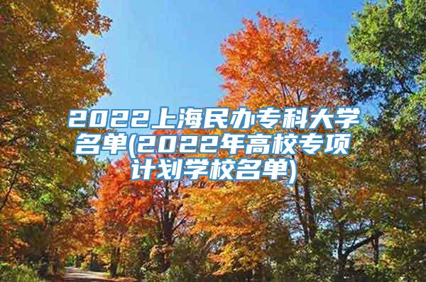 2022上海民办专科大学名单(2022年高校专项计划学校名单)