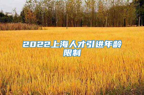 2022上海人才引进年龄限制