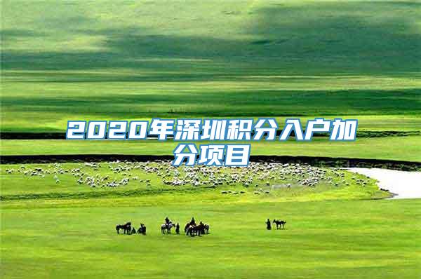 2020年深圳积分入户加分项目