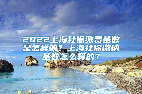 2022上海社保缴费基数是怎样的？上海社保缴纳基数怎么算的？