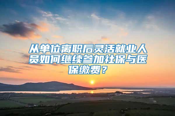 从单位离职后灵活就业人员如何继续参加社保与医保缴费？