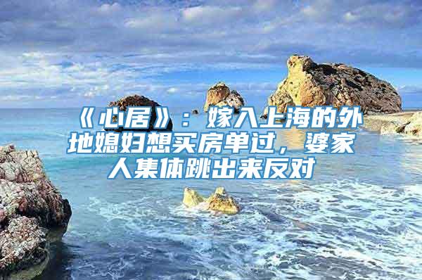 《心居》：嫁入上海的外地媳妇想买房单过，婆家人集体跳出来反对