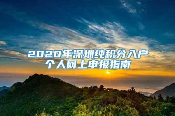 2020年深圳纯积分入户个人网上申报指南