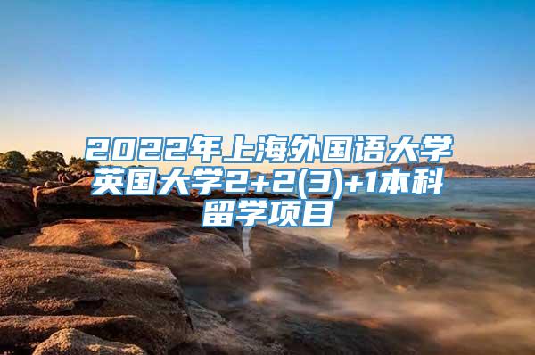 2022年上海外国语大学英国大学2+2(3)+1本科留学项目