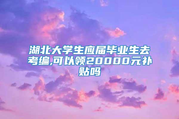 湖北大学生应届毕业生去考编,可以领20000元补贴吗