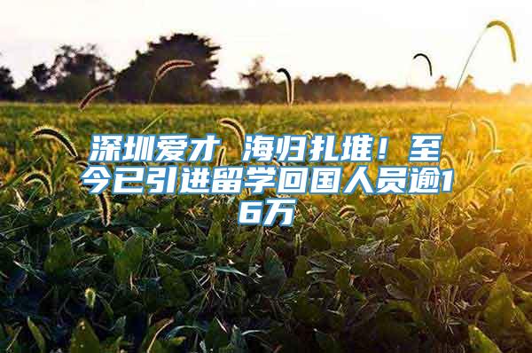 深圳爱才 海归扎堆！至今已引进留学回国人员逾16万