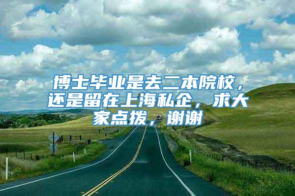 博士毕业是去二本院校，还是留在上海私企，求大家点拨，谢谢