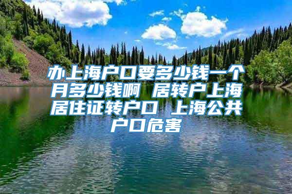 办上海户口要多少钱一个月多少钱啊 居转户上海居住证转户口 上海公共户口危害