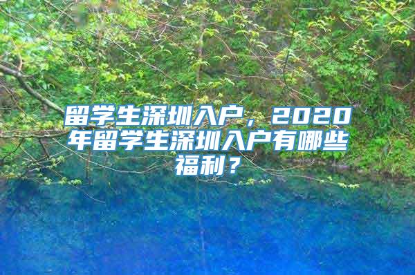 留学生深圳入户，2020年留学生深圳入户有哪些福利？