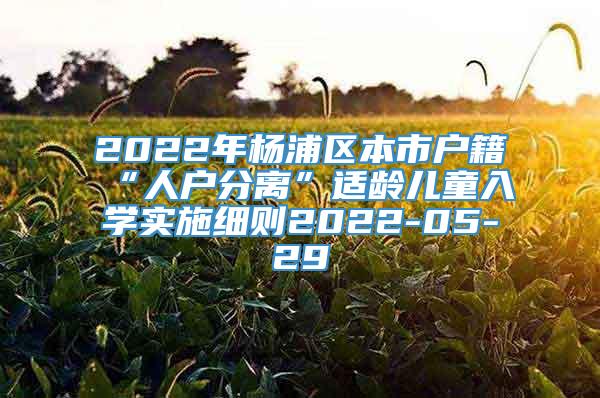 2022年杨浦区本市户籍“人户分离”适龄儿童入学实施细则2022-05-29