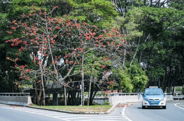 深圳纯积分入户申请