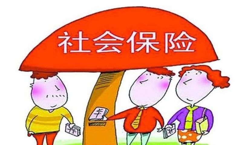 深圳应届生大专户口(深圳应届生补贴入户)