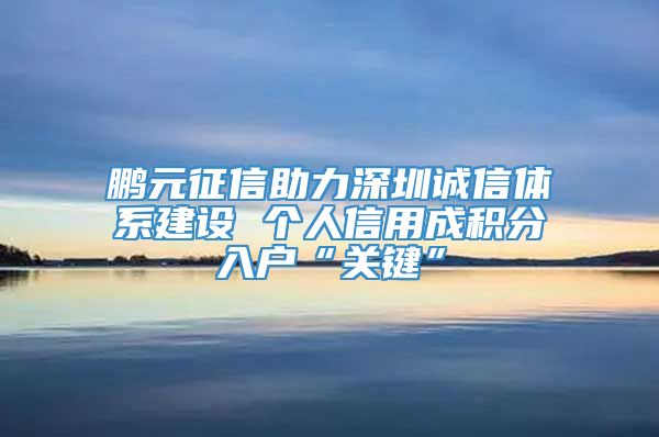 鹏元征信助力深圳诚信体系建设 个人信用成积分入户“关键”