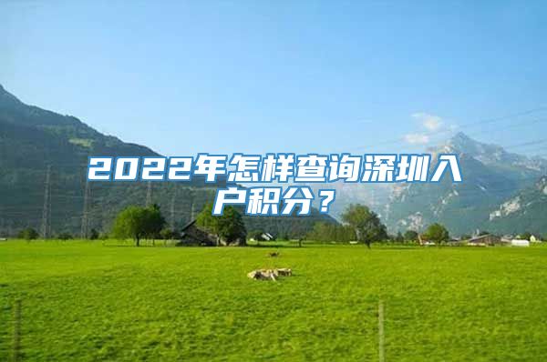 2022年怎样查询深圳入户积分？