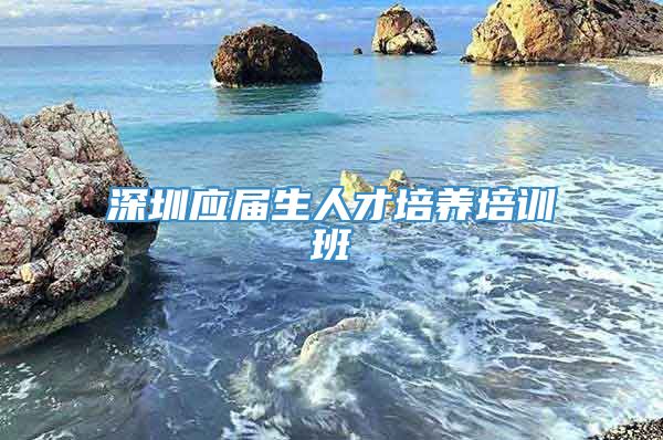 深圳应届生人才培养培训班